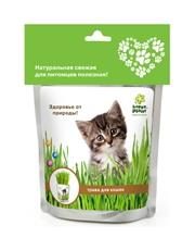 Happy Plant Трава для кошек - фото