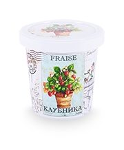 Набор для выращивания Клубника k1483 - фото
