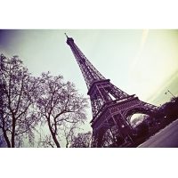 Фотообои Эйфелевая башня - фото