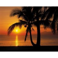 Фотообои Palmy Beach Sunrise CRW - фото