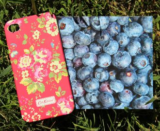 Чехол для IPhone 4/4s  Rose. - фото