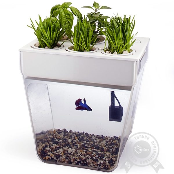 Сад-аквариум AquaFarm - фото