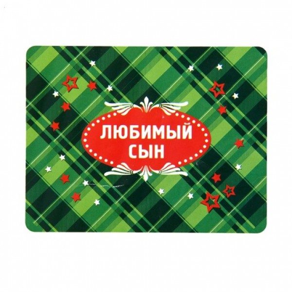 Плед Любимый сын Collorista - фото