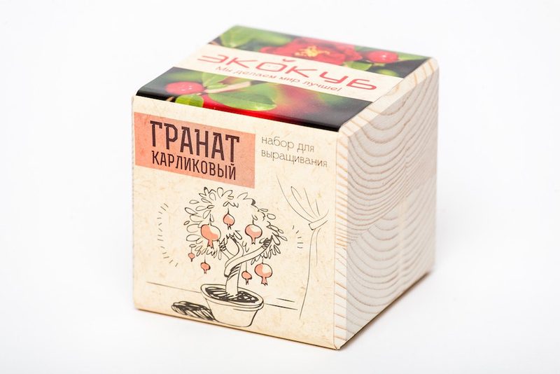Экокуб Гранат карликовый - фото