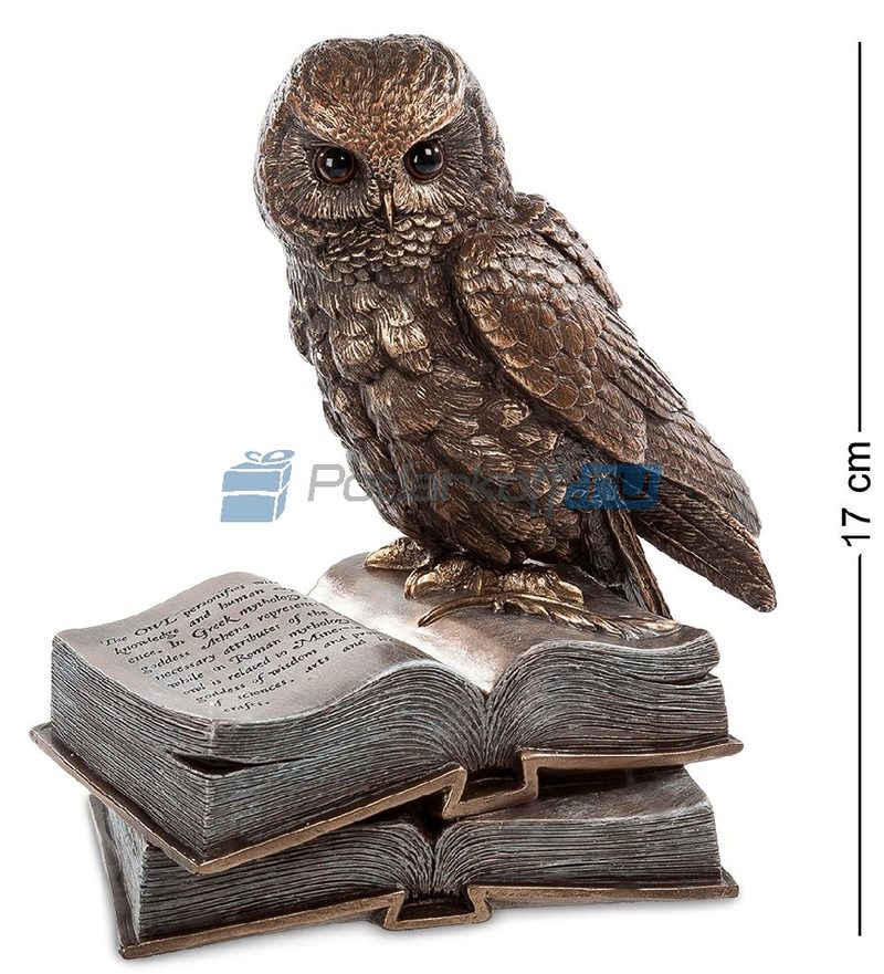 Статуэтка Сова на книгах - фото