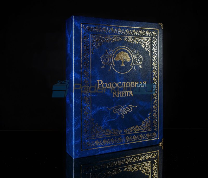 Семейный альбом родословная книга Застолье, обложка балакрон (сапфир) - фото