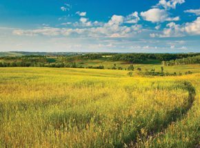 Подарочный сертификат в клуб Солярис - фото