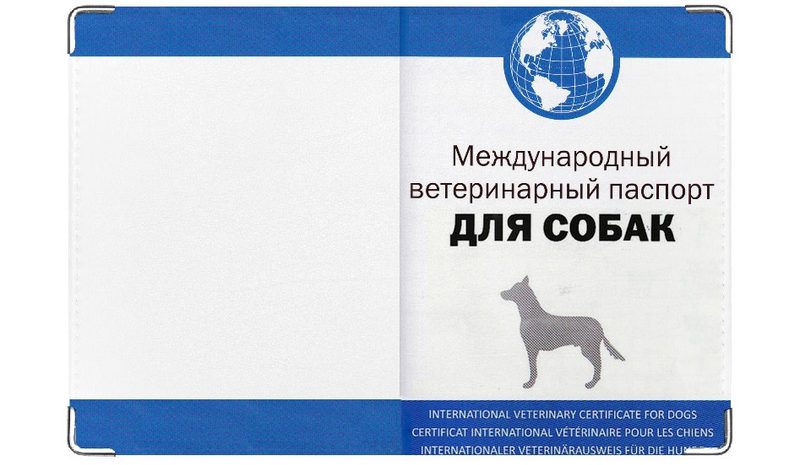 Обложка на ветеринарный паспорт Документ - фото