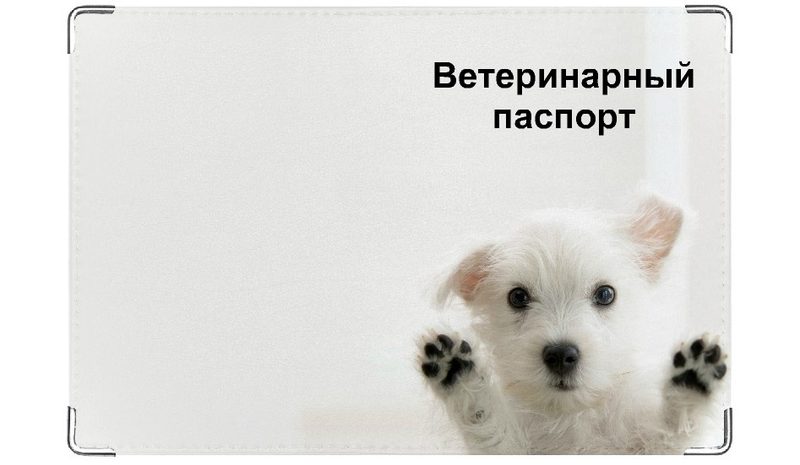 Обложка на ветеринарный паспорт Впустите! - фото