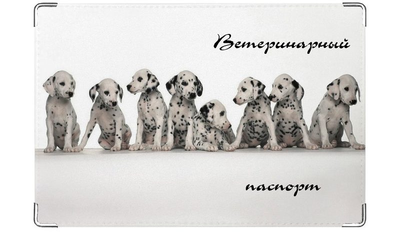 Обложка на ветеринарный паспорт Долматинцы - фото