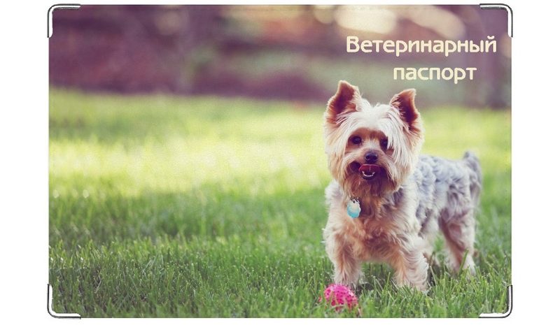 Обложка на ветеринарный паспорт Йоркширский терьер - фото