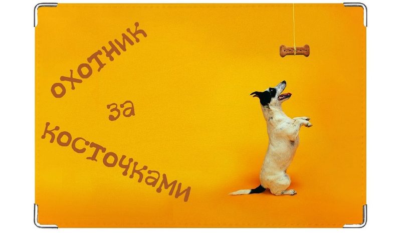 Обложка на ветеринарный паспорт Охотник - фото