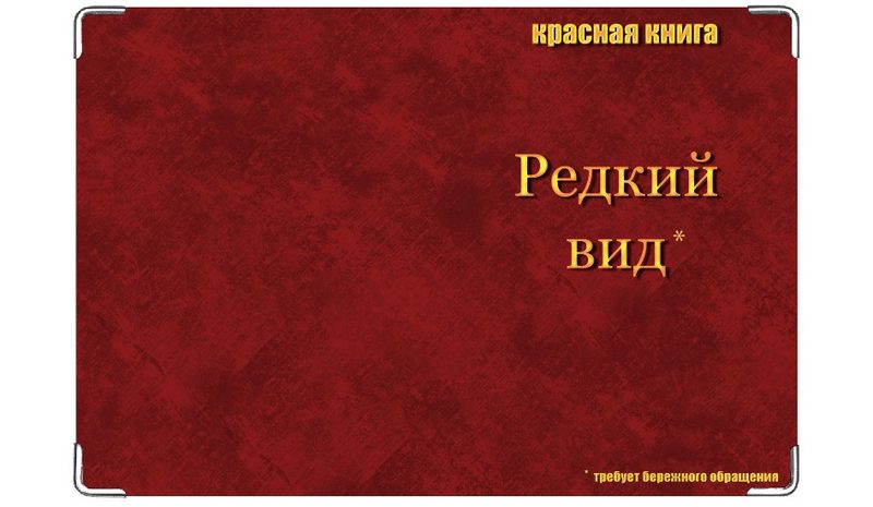 Обложка на ветеринарный паспорт Редкий вид - фото