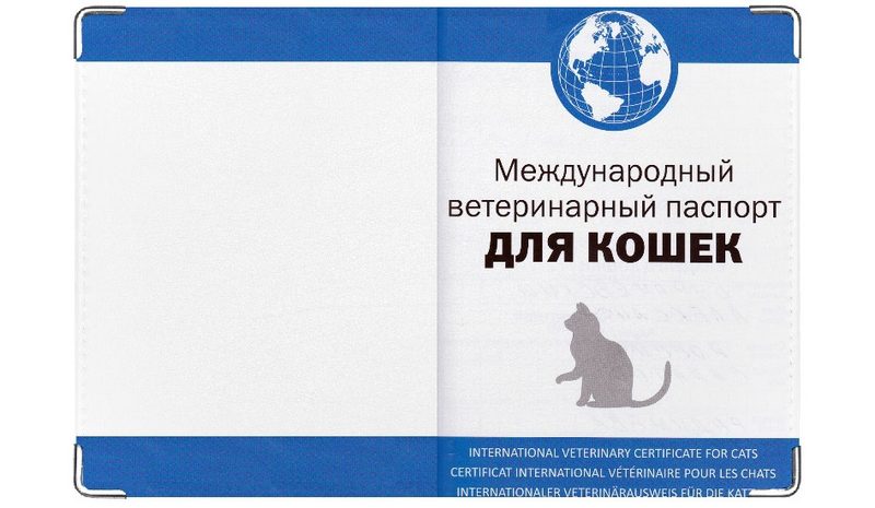 Обложка на ветеринарный паспорт Кошачий документ - фото