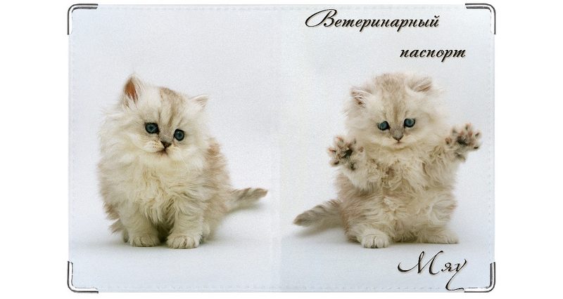 Обложка на ветеринарный паспорт Мяу! - фото