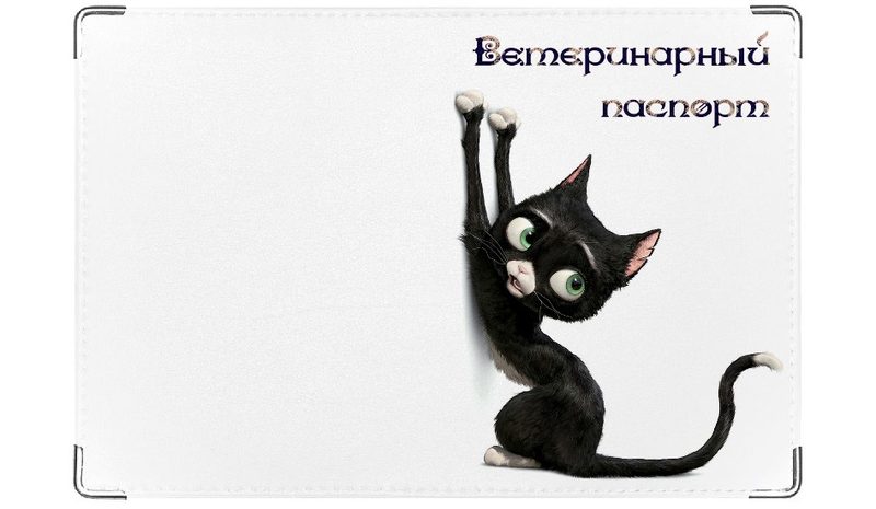 Обложка на ветеринарный паспорт Царапка - фото