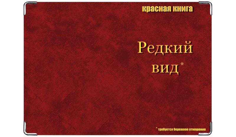 Обложка на паспорт Редкий вид - фото