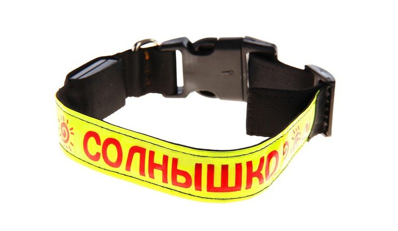 Светящийся ошейник Солнышко - фото