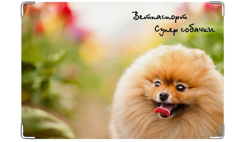 Обложка на ветеринарный паспорт Супер Собачка - фото