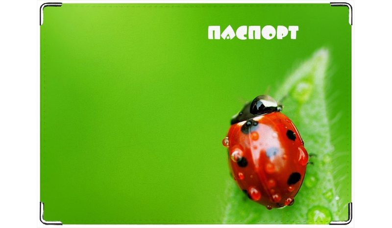 Обложка на паспорт Божья коровка - фото