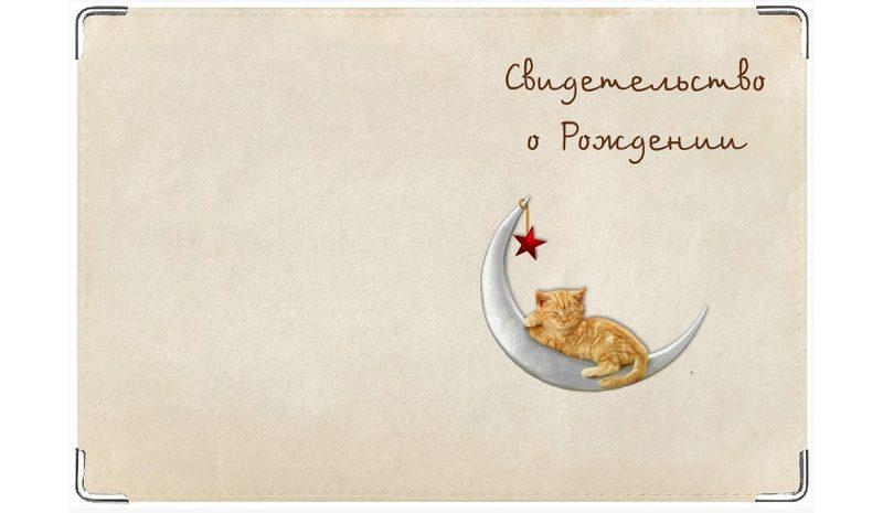 Обложка для свидетельства о рождении Котёнок - фото