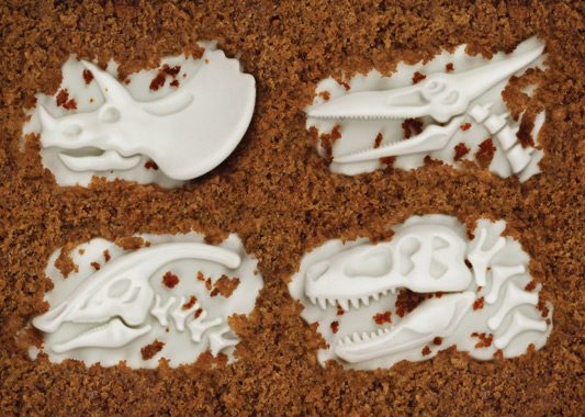 Форма для выпечки Fossil Food - фото