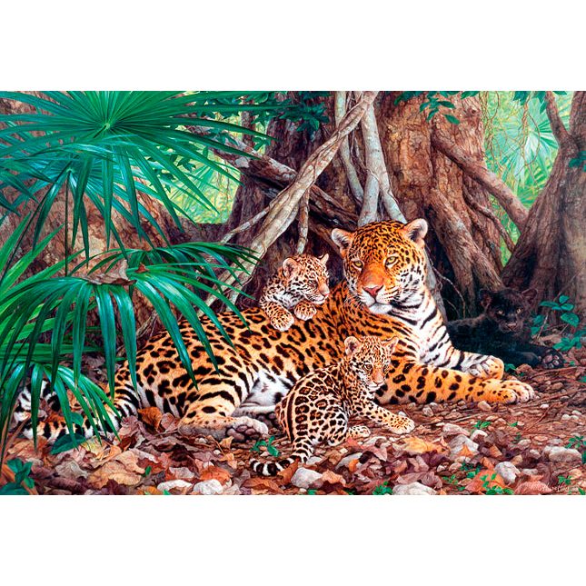 Пазл 3000 деталей Castorland: Ягуары в джунглях (C-300280) (Jaguars in the Jungle) - фото