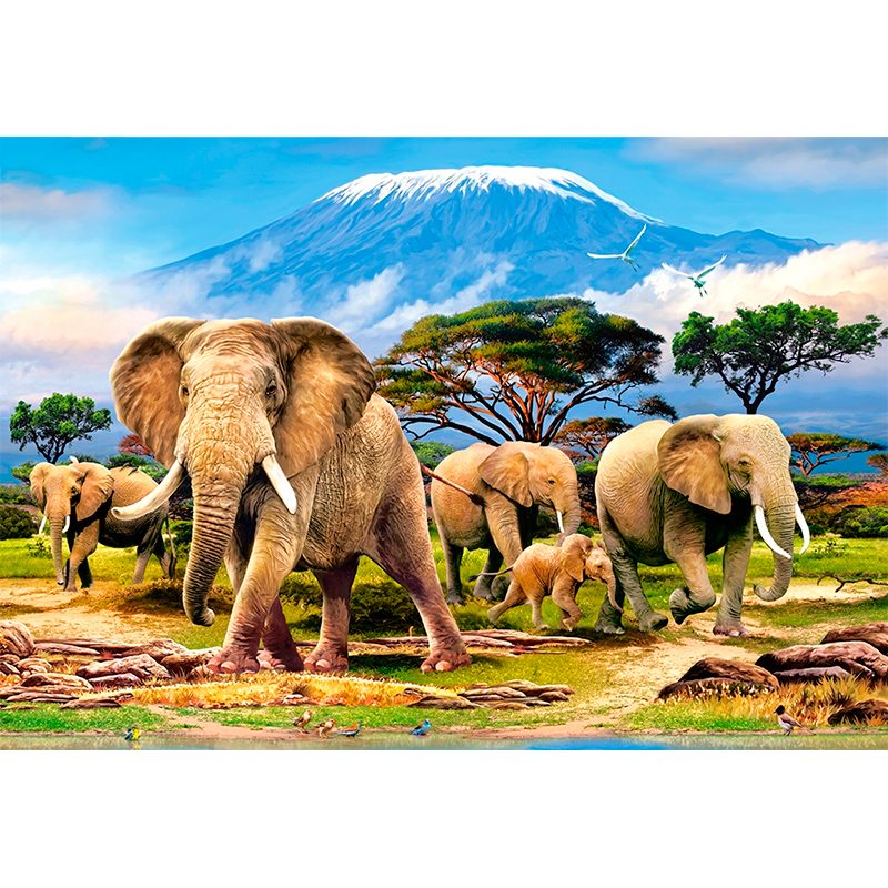 Пазл Castorland 1000 деталей: Слоны (C-103188) (Kilimanjaro morning) - фото
