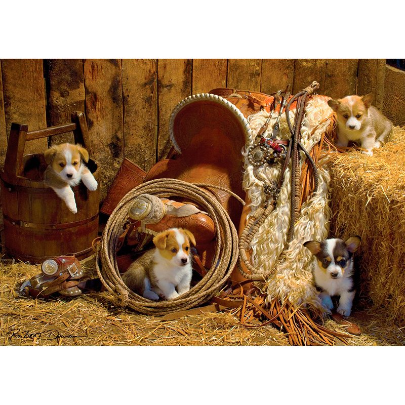 Пазл Art Puzzle 1000 деталей Щенки корги (4431) -- Robert Dawson - Corgi Boys - фото