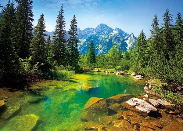 Пазл Trefl 500 деталей: Вид на Татры (37117) - фото