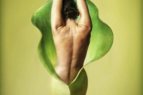 Подарочный сертификат SPA уход для тела Объятия Таиланда - фото