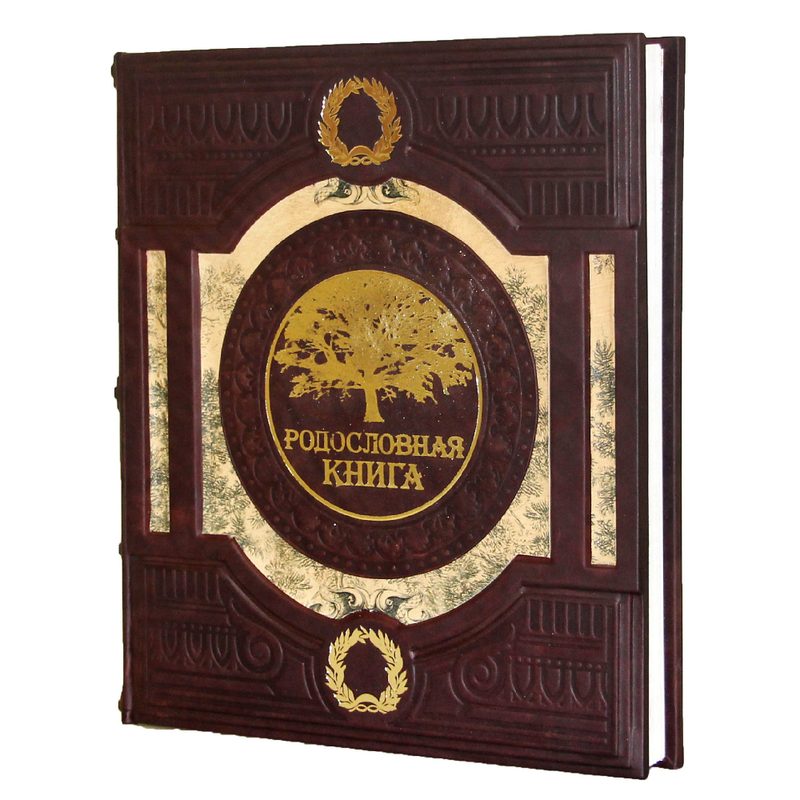 Родословная книга «Семейное древо». Цвет коричневый - фото