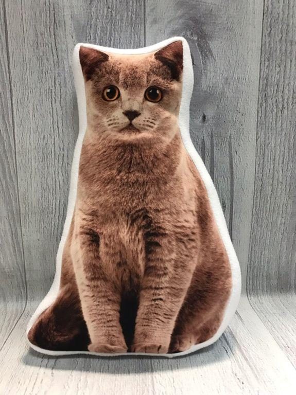 Подушка обнимашка Котенок, подушка-игрушка с вашим домашним животным - фото