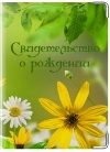 Обложка на свидетельство о рождении Лучик солнца - фото