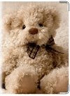 Обложка на свидетельство о рождении Taddy Bear - фото