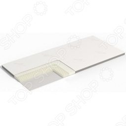 Silver Ion Contour - фото