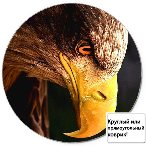 Коврик для мыши 3D - Голова орла - фото