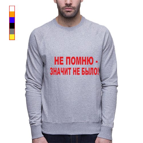 Мужской свитшот - Не помню значит не было - фото