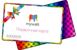 Пластиковая карта Mywalit 500 - фото
