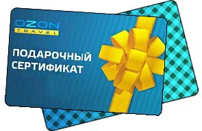 Пластиковая карта Ozon Travel 500 - фото