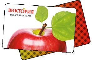 Пластиковая карта Виктория 500 - фото