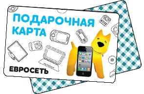 Пластиковая карта Евросеть 100 - фото