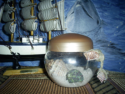 DIGITAL CAMERA