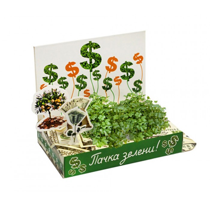 подарочные наборы коробки с стружкой. набор "базилик". посуда для выращивания размером 15 на 20.
