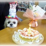 080115cakefordog3