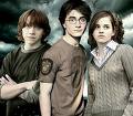 images14