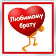 подарок брату