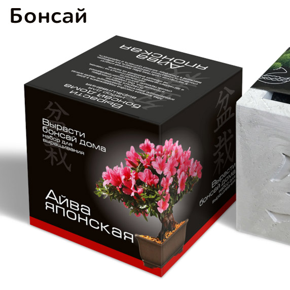 подарочный набор вырасти бонсай в кубике. экоклуб набор для выращивания растений бонсай "сакура". набор для выращивания бонсай. набор для выращивания вырасти бонсай дома. вырастить бонсай дома набор.