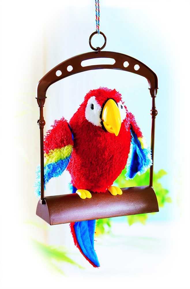 Купить Говорящего Попугая В Спб Недорого