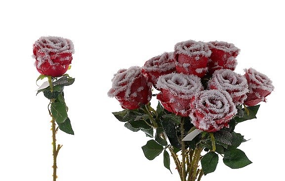 Купить Живые Розы